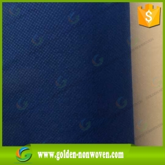 Color 100% Virgin PP Spunbond Non Woven Fabric