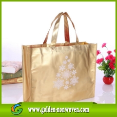 Fast Delivery laminated waterproof non woven bag