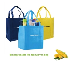 Eco-Friendly Nonwoven Bag