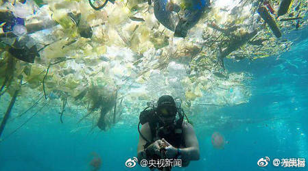 Plastic bags hurt the whole world!!!