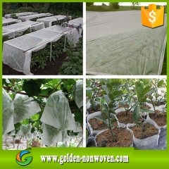 Agriculture Greenhouses Nonwoven Fabric made by Quanzhou Golden Nonwoven Co.,ltd