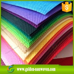 Polypropylene Spunbond  Non Woven Fabric