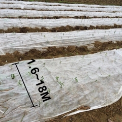 Agriculture PP Nonwoven  Fabric