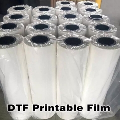 Pet Film Custom High Quality Cpp/pet Plastic Stretch Roll Film made by Quanzhou Golden Nonwoven Co.,ltd