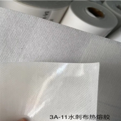 Golden Adhesive Termo Ping Pong Hot Melt Sheet for Shoe Toe Puff and Counter made by Quanzhou Golden Nonwoven Co.,ltd