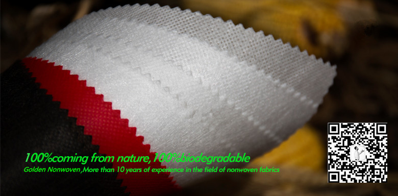 What's PLA Nonwoven fabric?