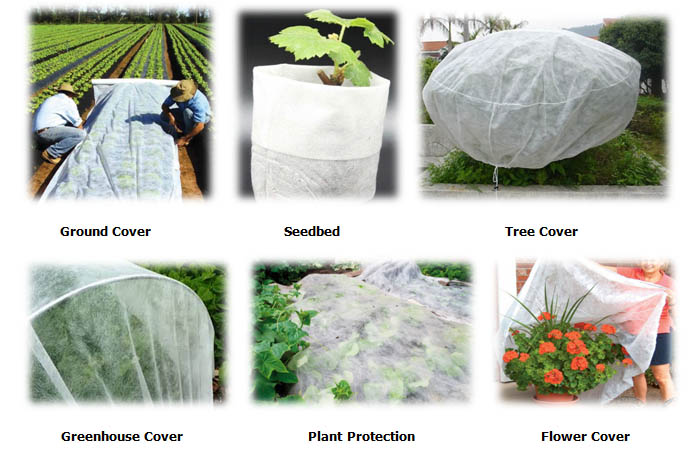  Non-woven Fabric Application In Agriculture​