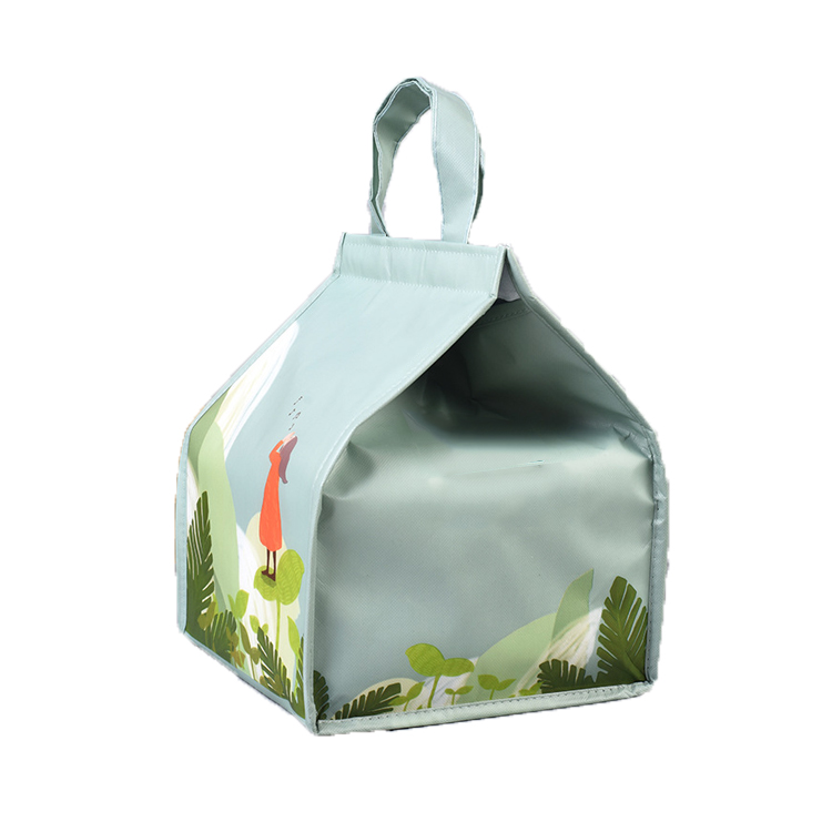 Keep Food Fresh -Cooler Bag